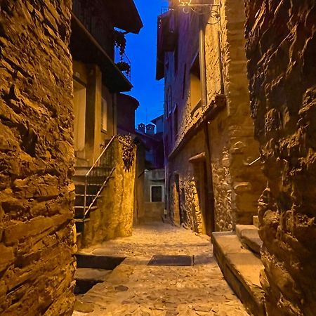 Romantic Home Stone With Amazing View Lake Of Como And Oleandra ラーリオ エクステリア 写真