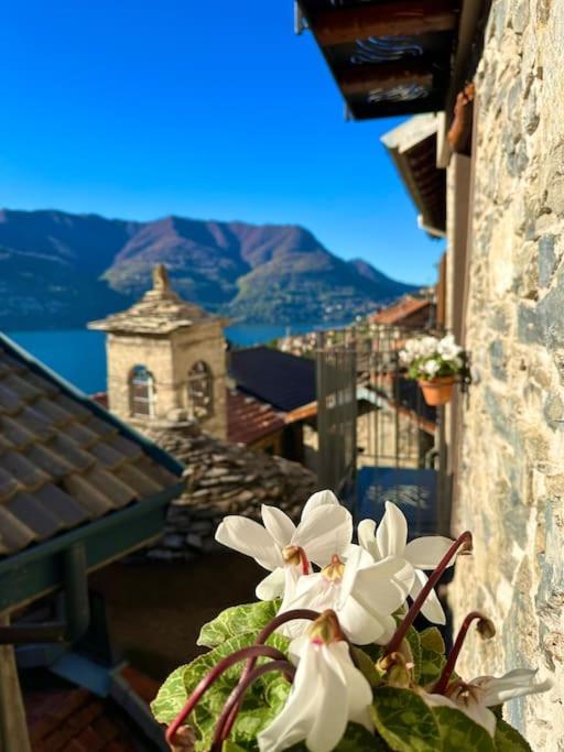 Romantic Home Stone With Amazing View Lake Of Como And Oleandra ラーリオ エクステリア 写真