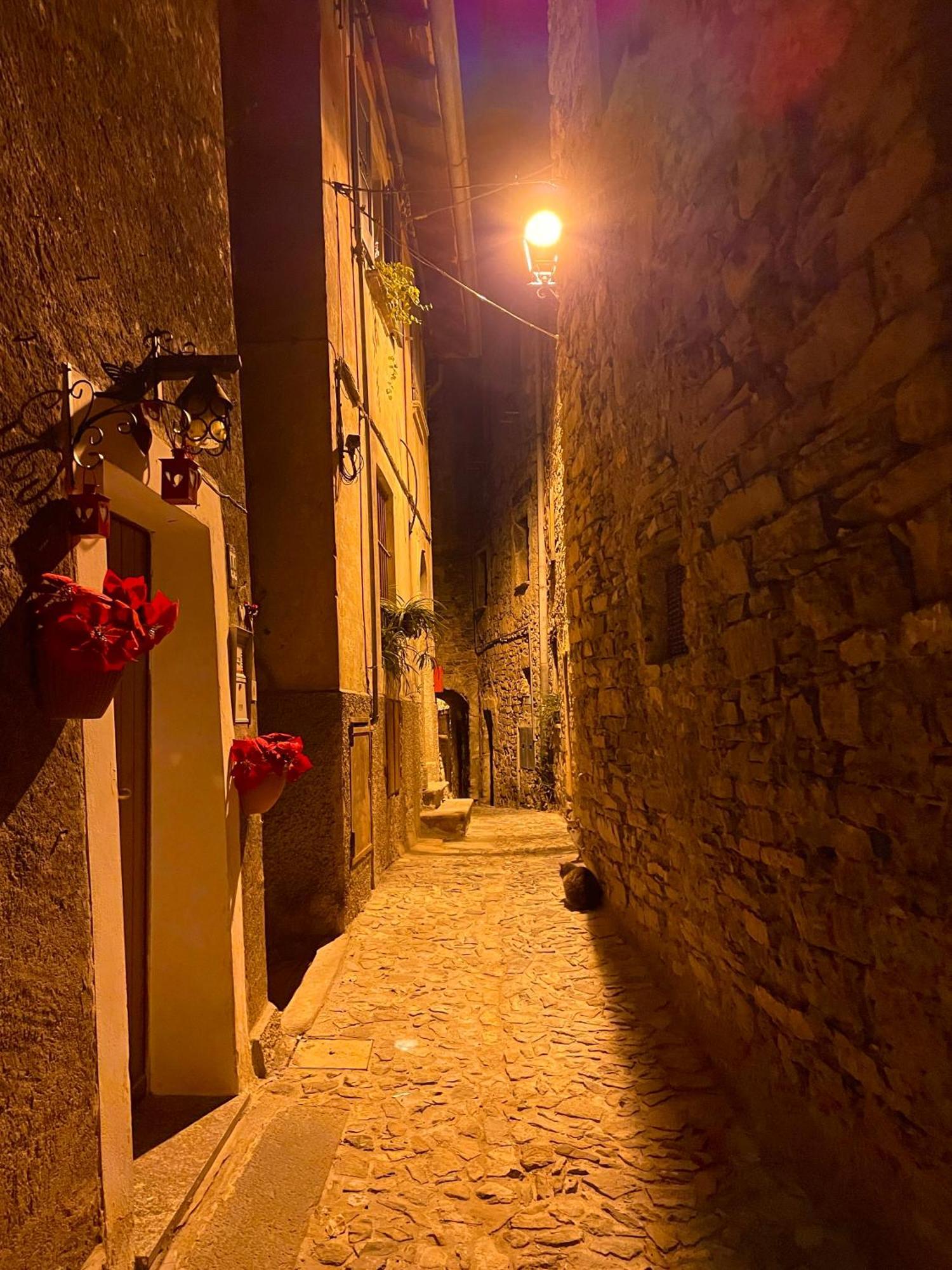 Romantic Home Stone With Amazing View Lake Of Como And Oleandra ラーリオ エクステリア 写真