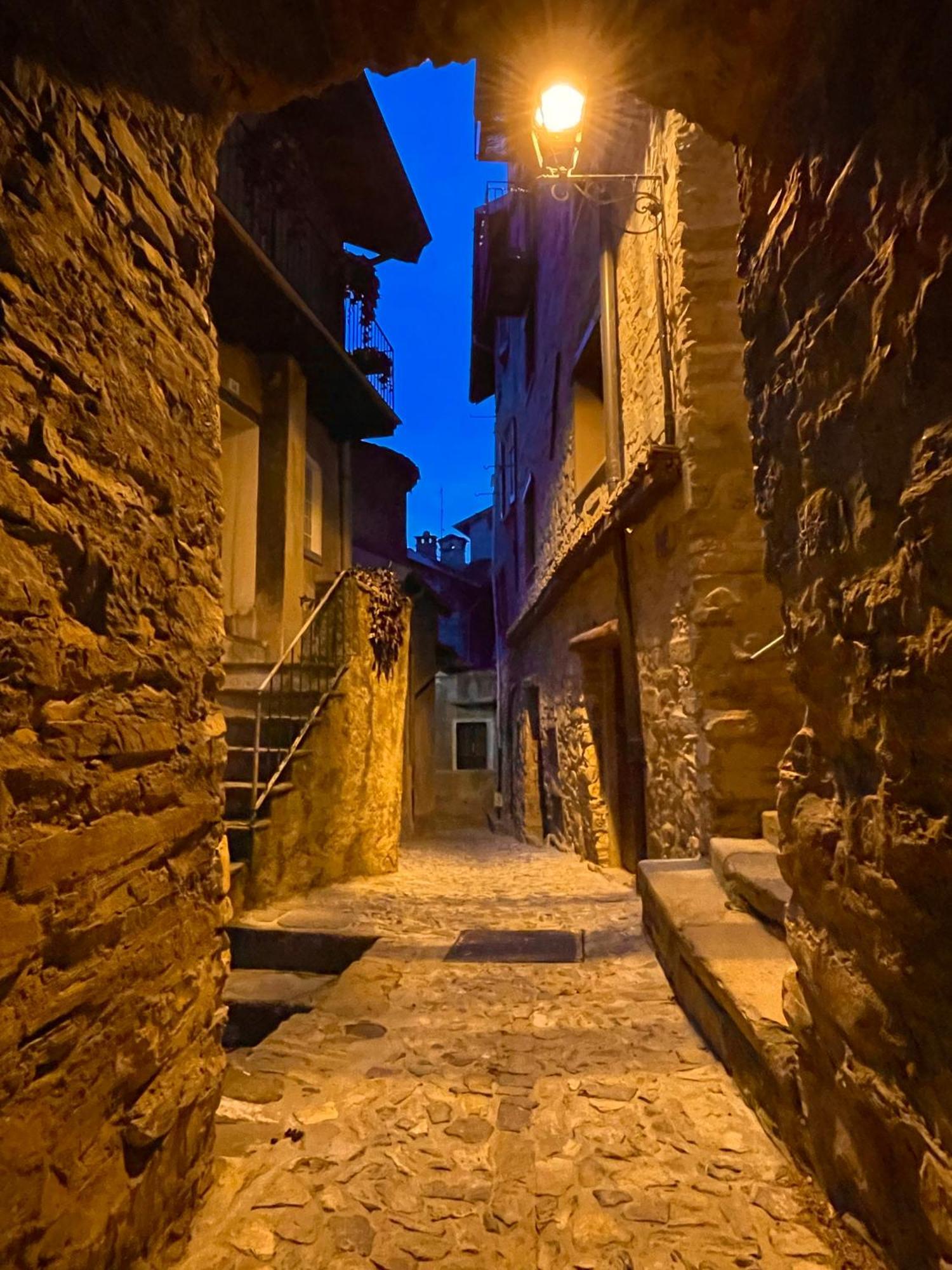Romantic Home Stone With Amazing View Lake Of Como And Oleandra ラーリオ エクステリア 写真